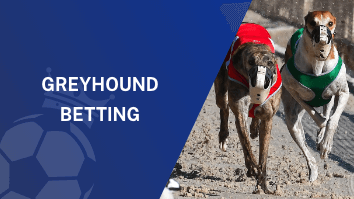 Greyhound Betting - Featured Image